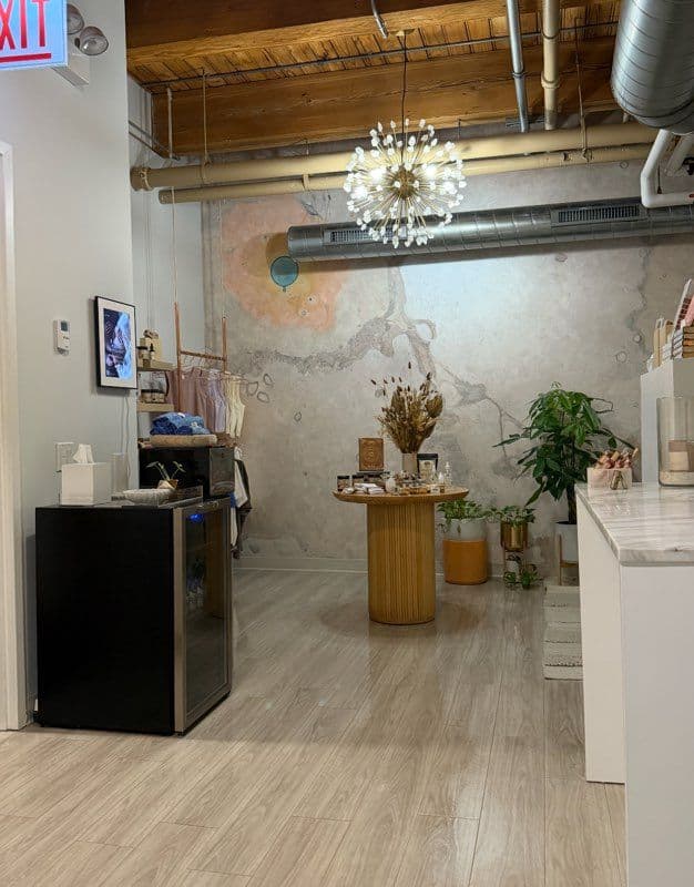 Transformative Deep Clean at River North Fitness Studio image