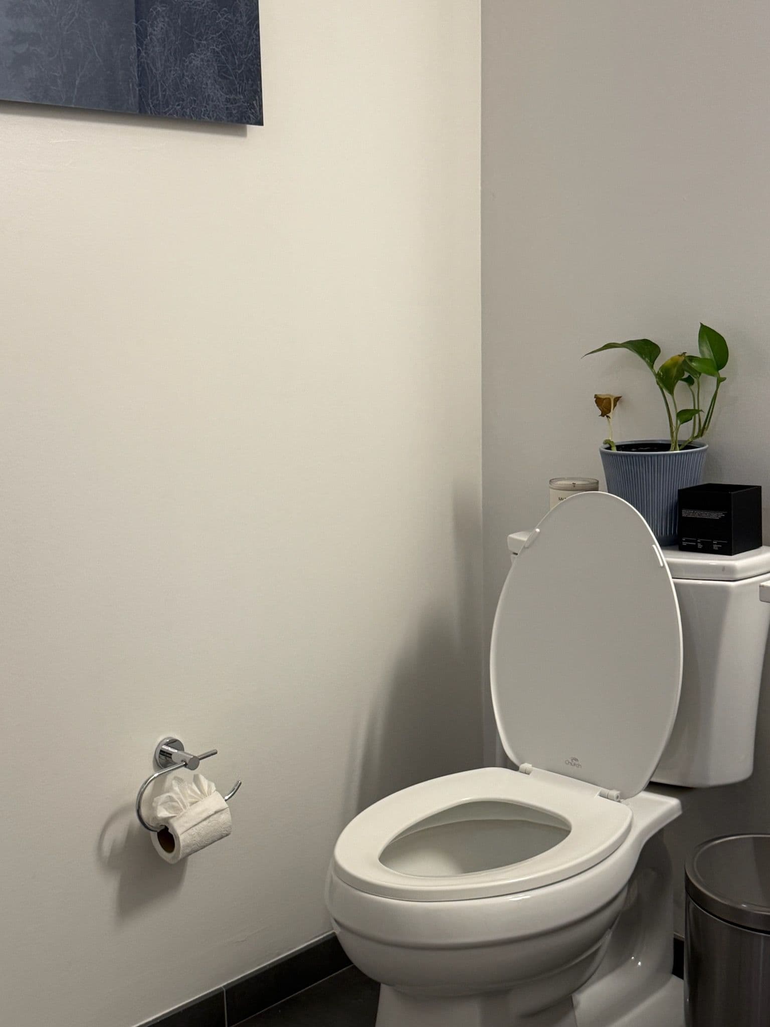 Gallery photos for Elevating Hospitality with Elegant Toilet Paper Design: Image #1
